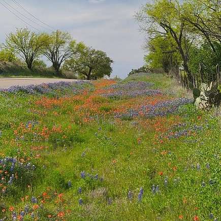 25.32 Acres of Agricultural Land for Sale in Burnet, Texas