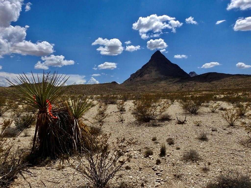 40 Acres of Recreational Land for Sale in Terlingua, Texas