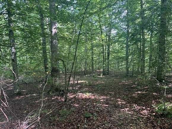 24 Acres of Recreational Land for Sale in Edmonton, Kentucky