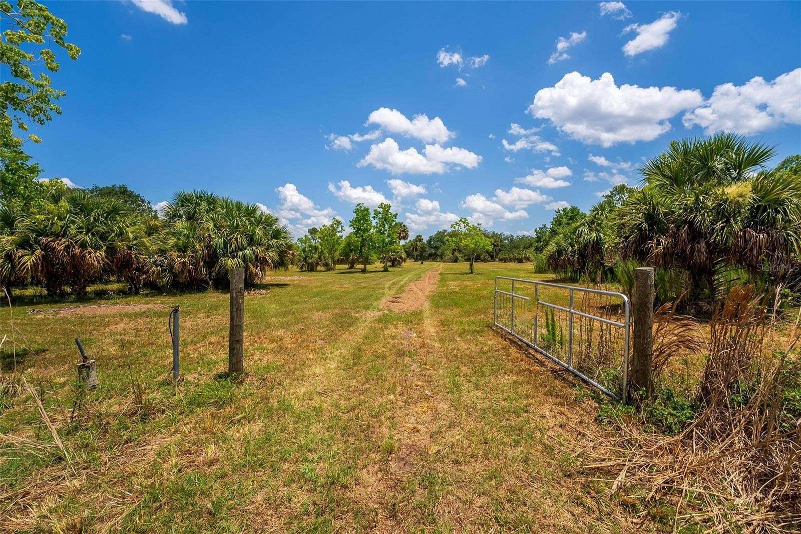 16.47 Acres of Recreational Land for Sale in Geneva, Florida