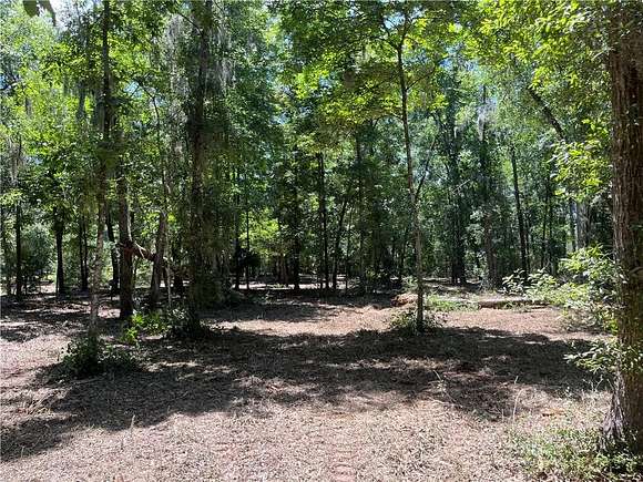 0.94 Acres of Residential Land for Sale in Darien, Georgia