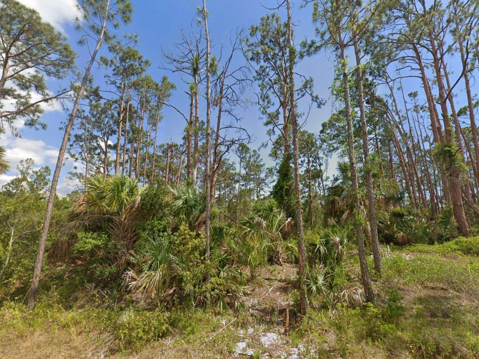 0.23 Acres of Residential Land for Sale in Port Charlotte, Florida