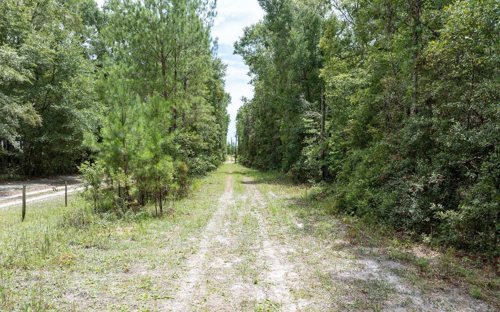 5 Acres of Residential Land for Sale in Lake City, Florida