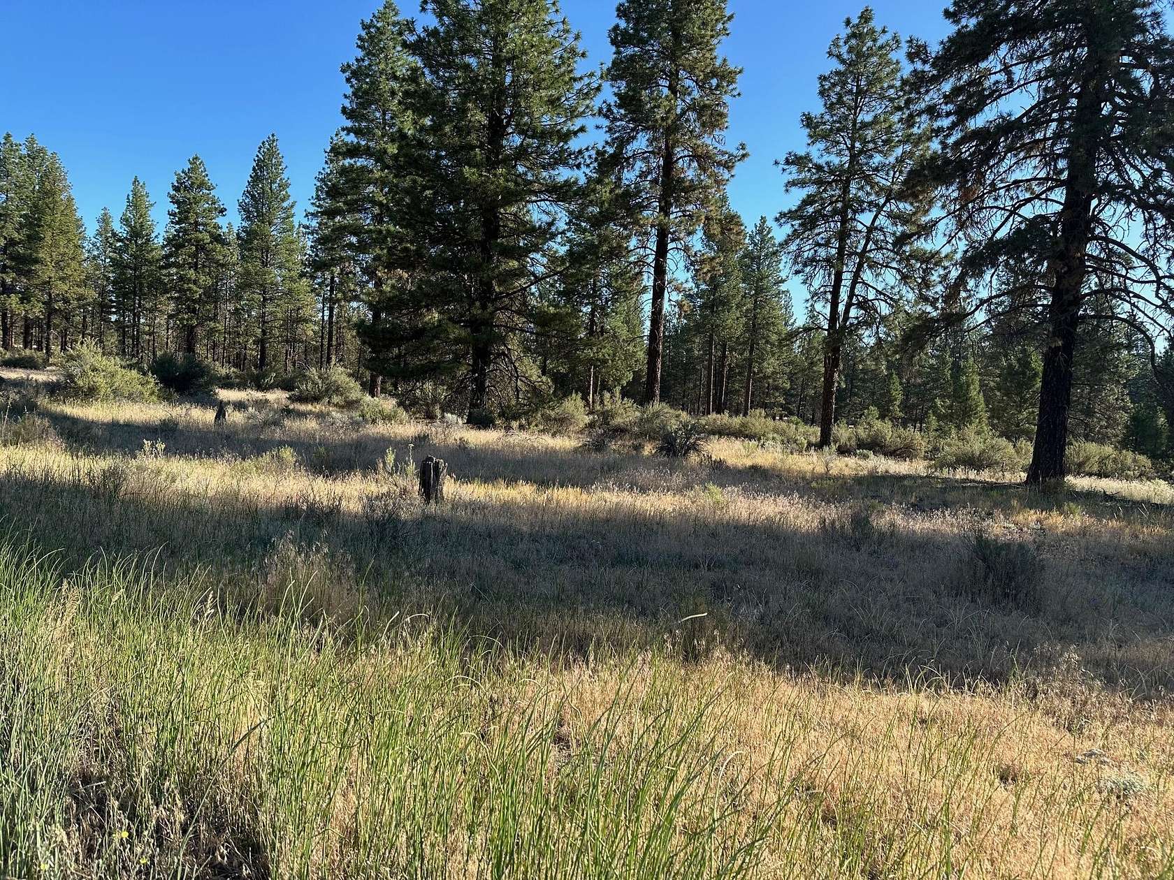 3.05 Acres of Residential Land for Sale in Bonanza, Oregon