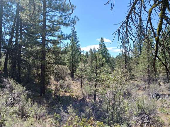 3.6 Acres of Residential Land for Sale in Bonanza, Oregon