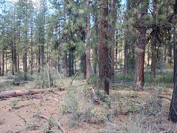 3.7 Acres of Residential Land for Sale in Bonanza, Oregon