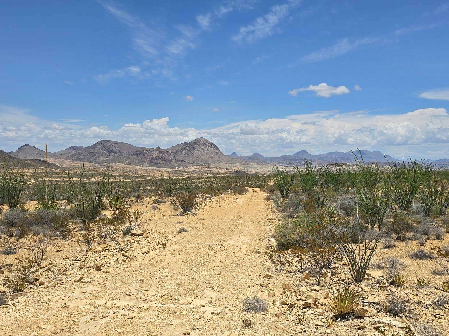 20 Acres of Land for Sale in Terlingua, Texas