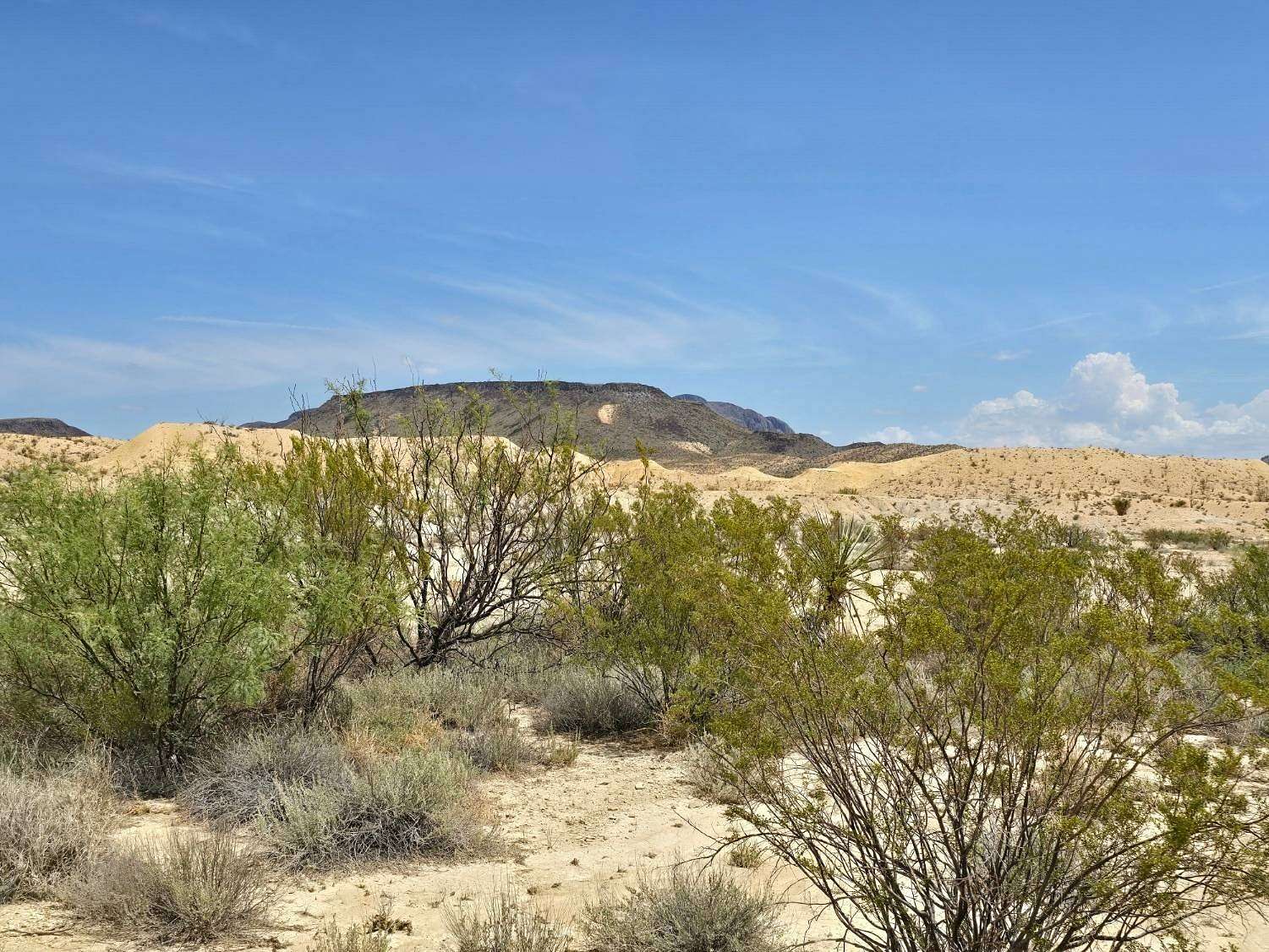 40 Acres of Recreational & Residential Land for Sale in Terlingua, Texas