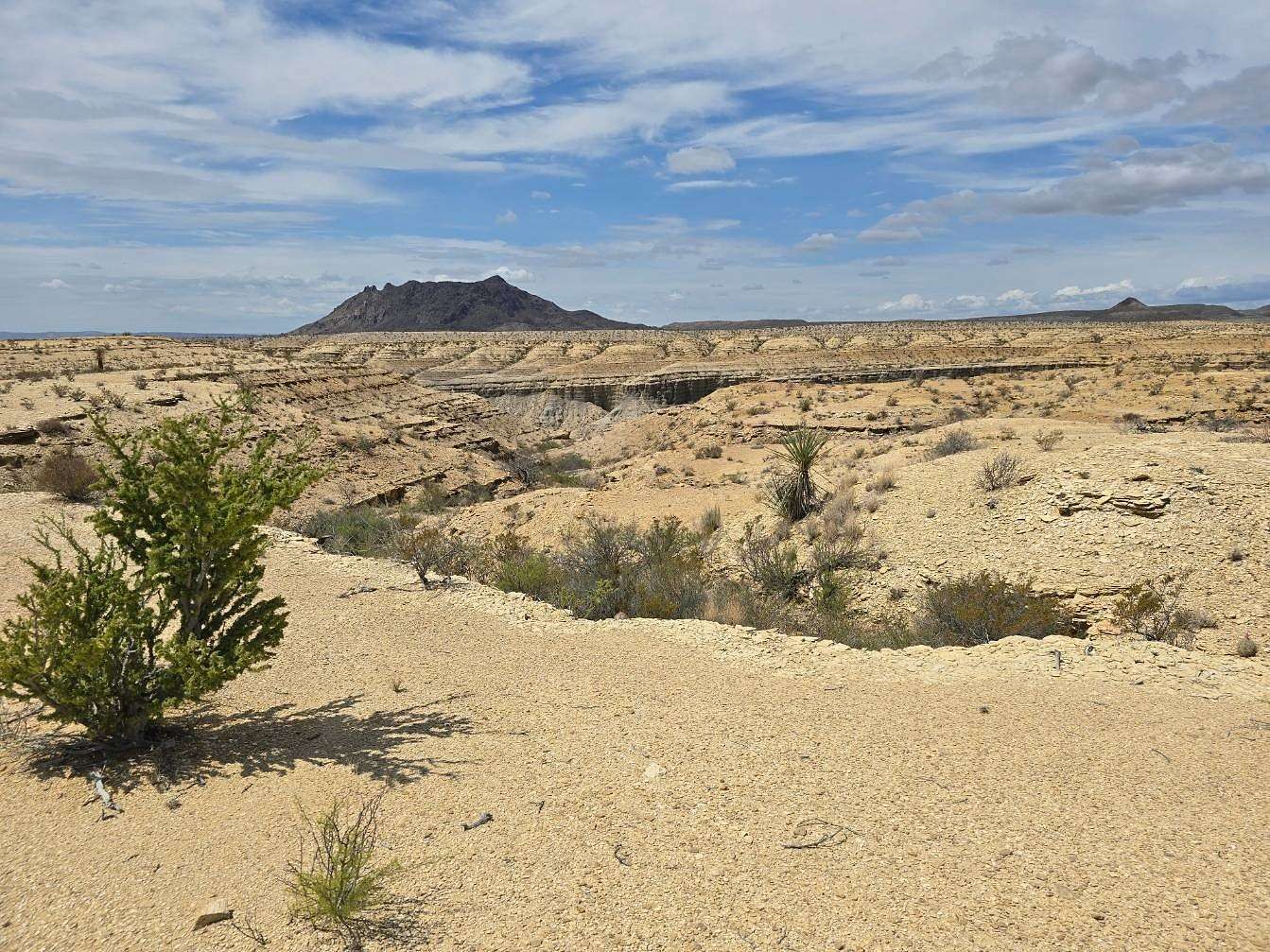 20 Acres of Recreational & Residential Land for Sale in Terlingua, Texas