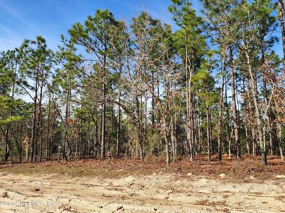 0.35 Acres of Residential Land for Sale in Keystone Heights, Florida