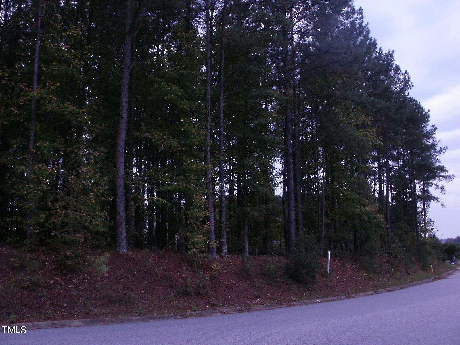 0.981 Acres of Commercial Land for Sale in Lillington, North Carolina