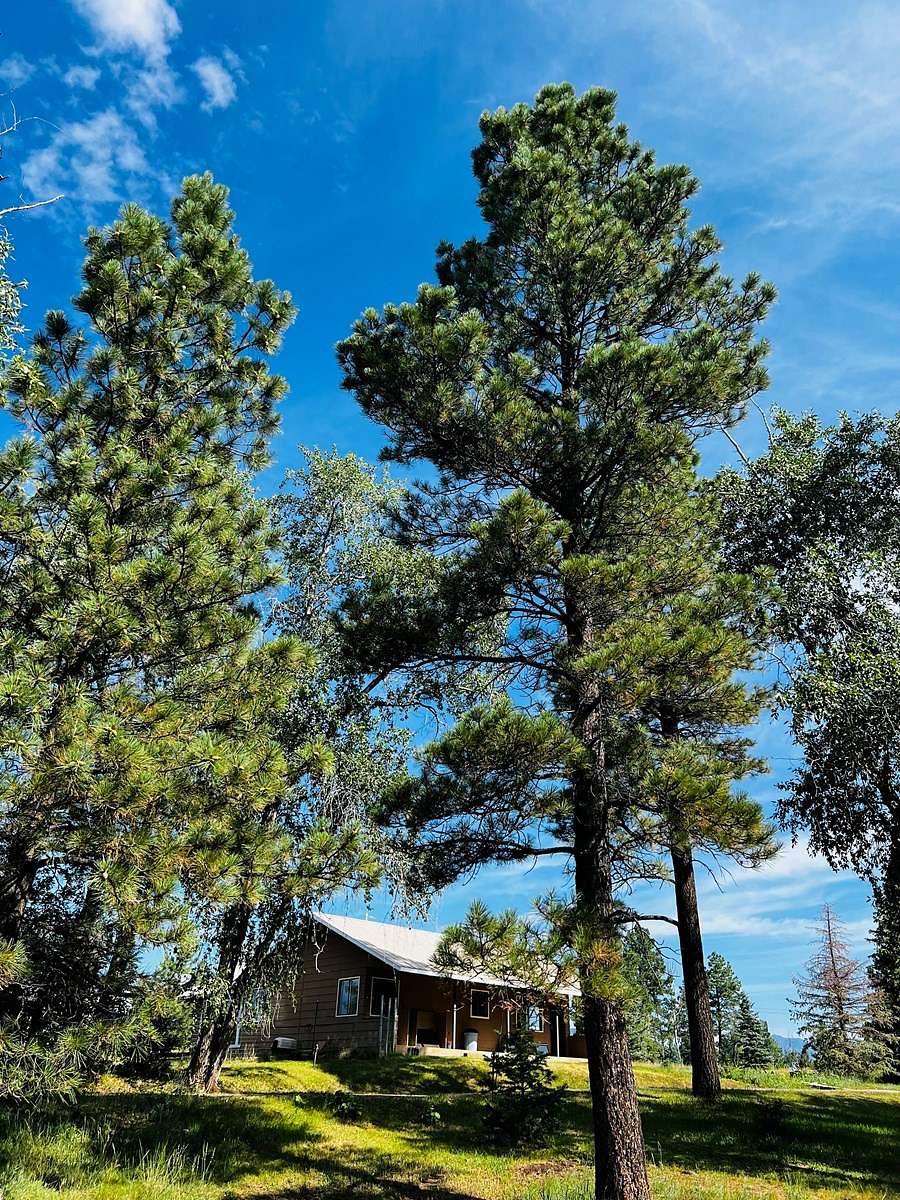 6.72 Acres of Residential Land with Home for Sale in Chama, New Mexico