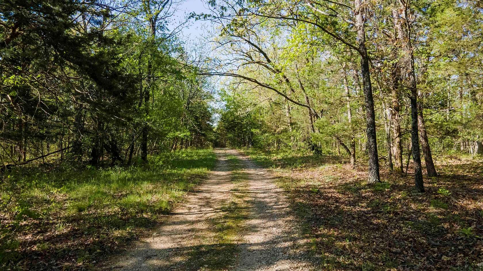 320 Acres of Recreational Land & Farm for Sale in Vienna, Missouri