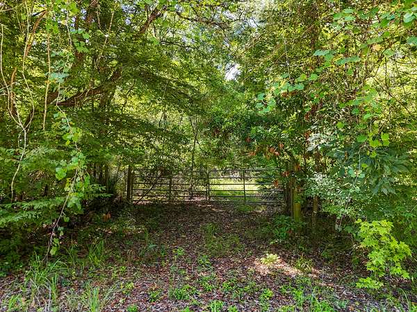 4.68 Acres of Land for Sale in Old Town, Florida