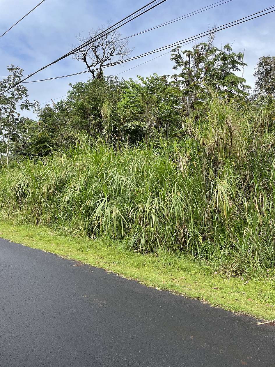 1 Acre of Land for Sale in Pahoa, Hawaii