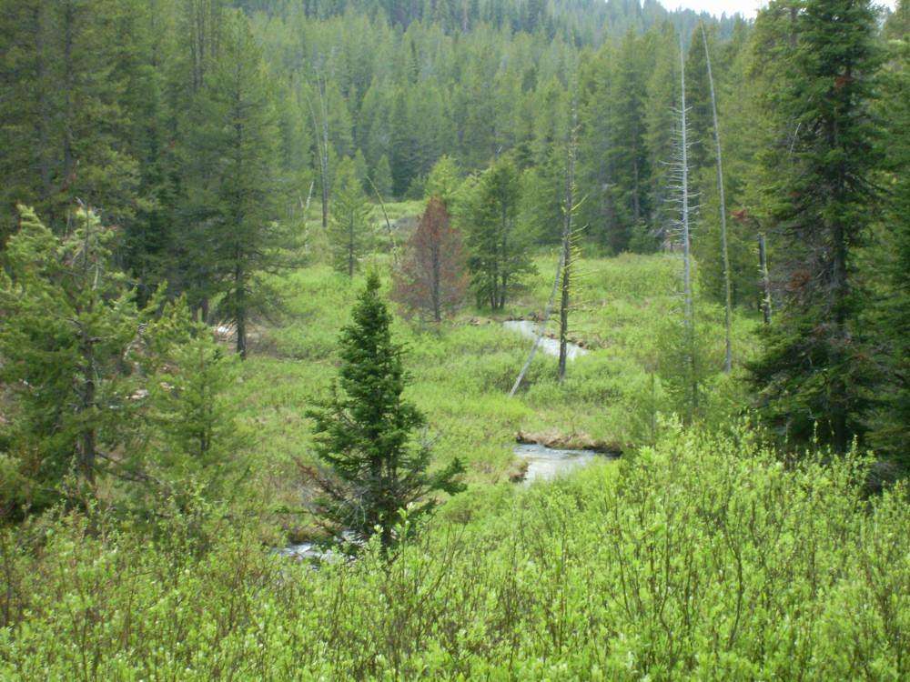 145.54 Acres of Recreational Land for Sale in Idaho City, Idaho