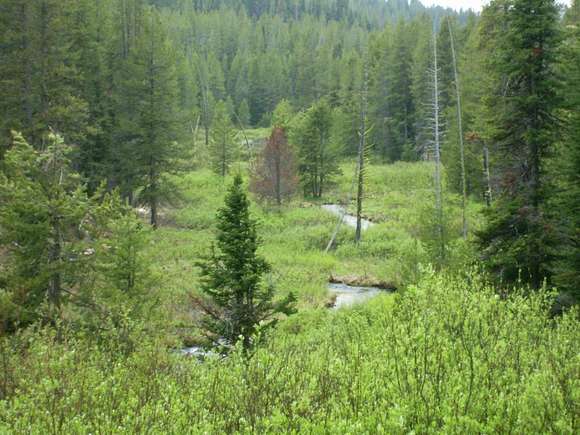 145.54 Acres of Recreational Land for Sale in Idaho City, Idaho