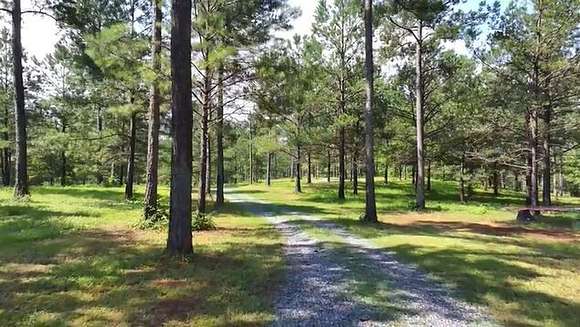 74 Acres of Land for Sale in Eclectic, Alabama