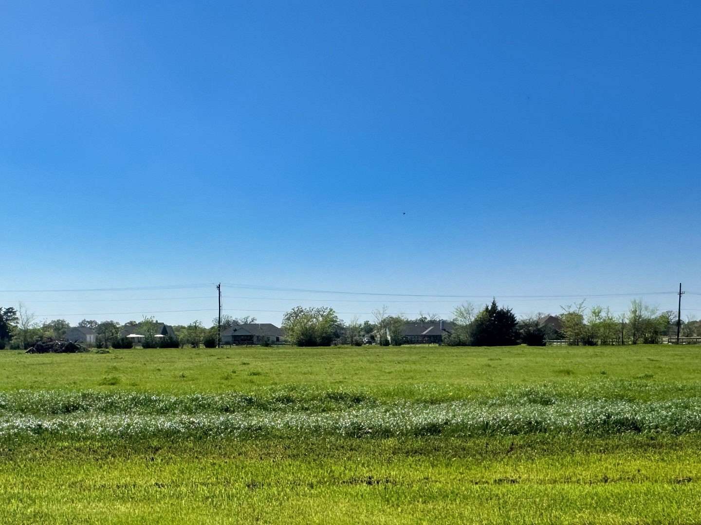 1 Acre of Residential Land for Sale in Iola, Texas