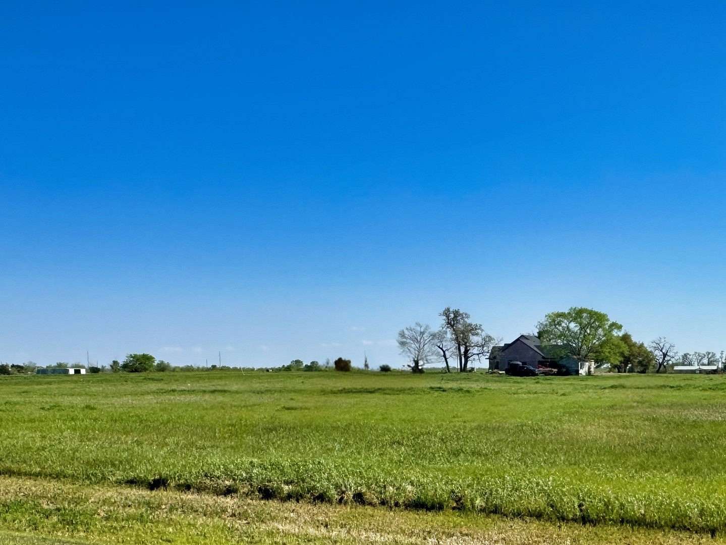 1 Acre of Residential Land for Sale in Iola, Texas