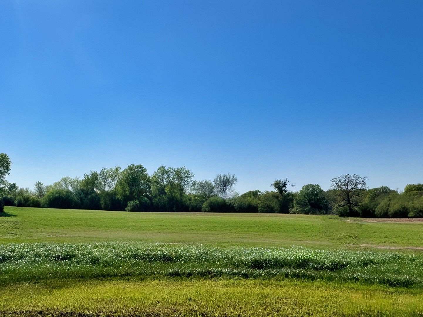 1 Acre of Residential Land for Sale in Iola, Texas