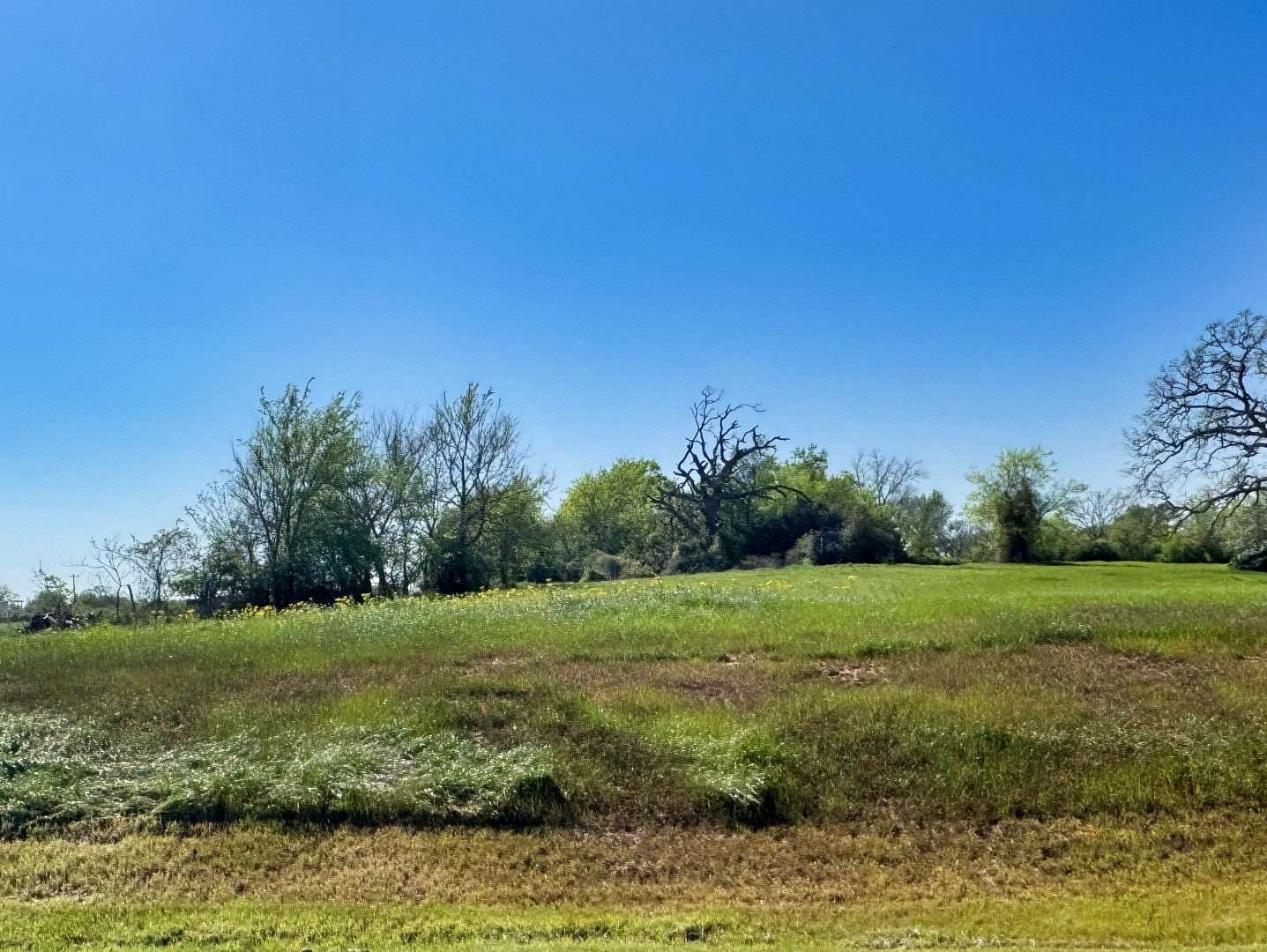 1 Acre of Residential Land for Sale in Iola, Texas