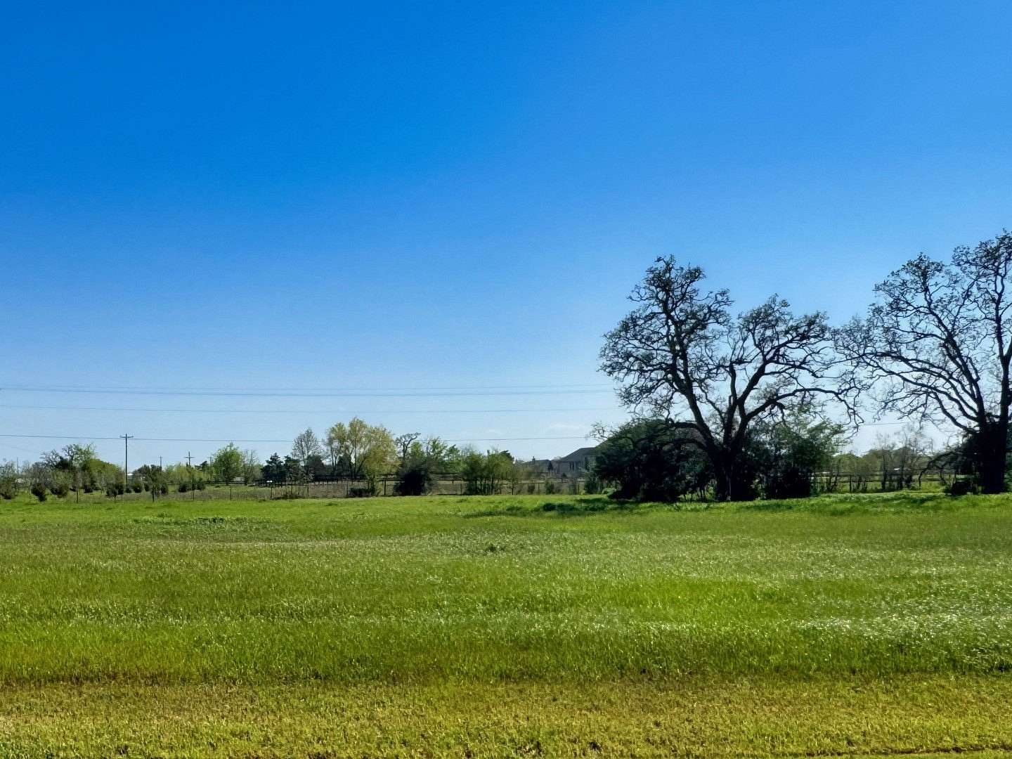 1 Acre of Residential Land for Sale in Iola, Texas