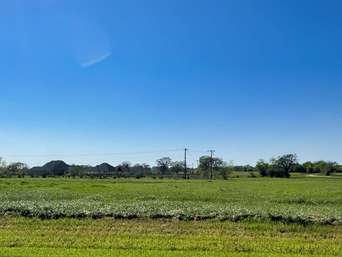 1 Acre of Residential Land for Sale in Iola, Texas