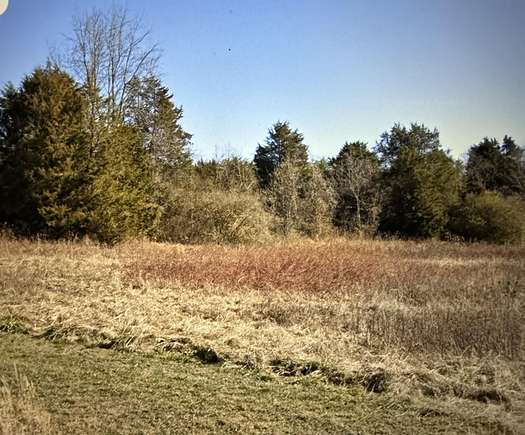 0.47 Acres of Land for Sale in Rogersville, Tennessee