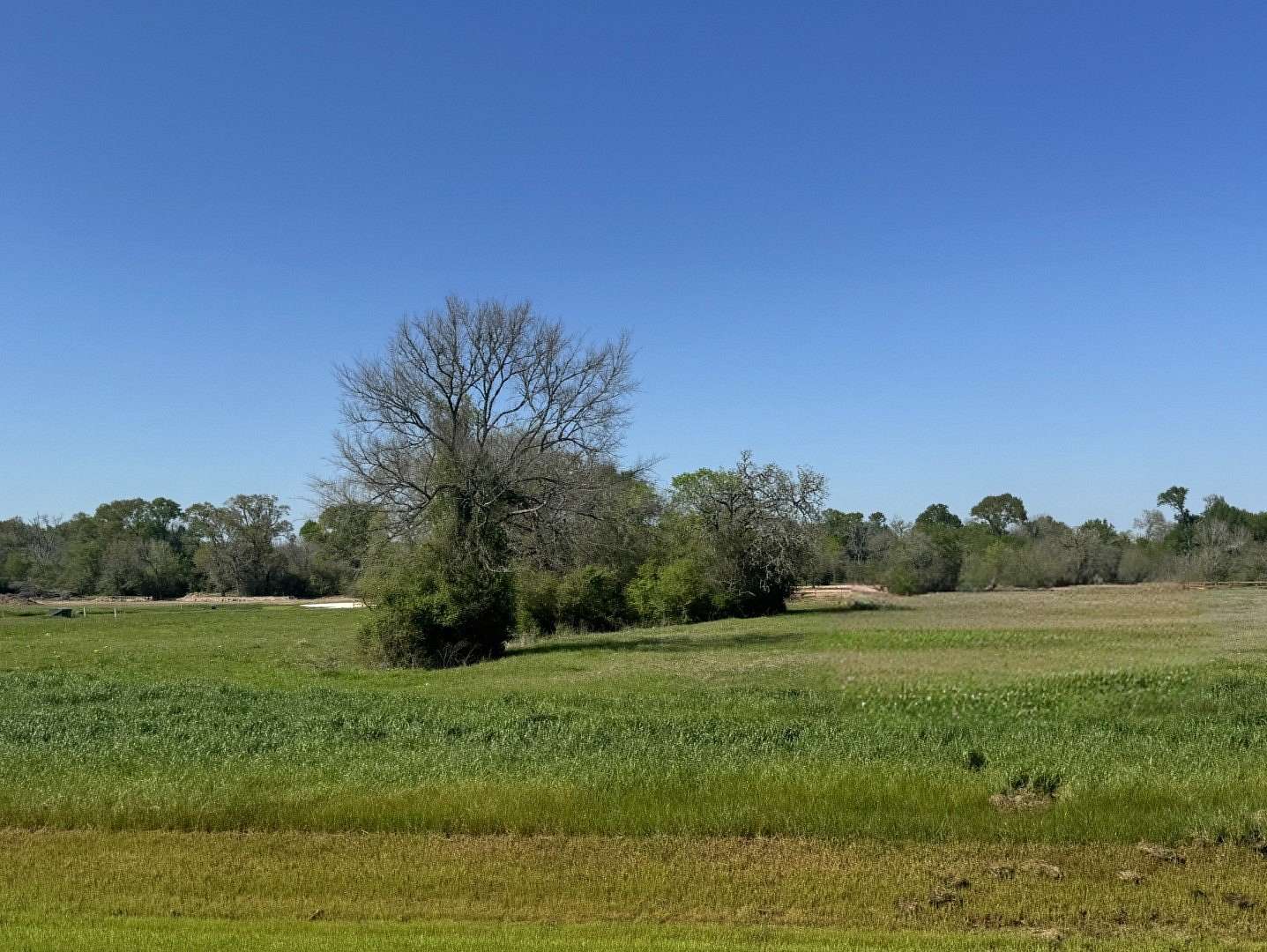 1.52 Acres of Residential Land for Sale in Iola, Texas