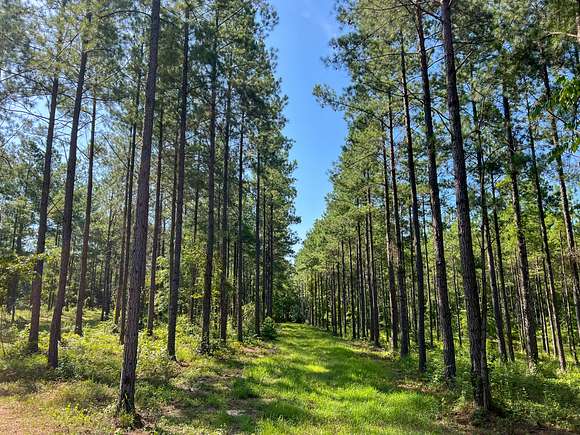 78 Acres of Land for Sale in Camp Hill, Alabama