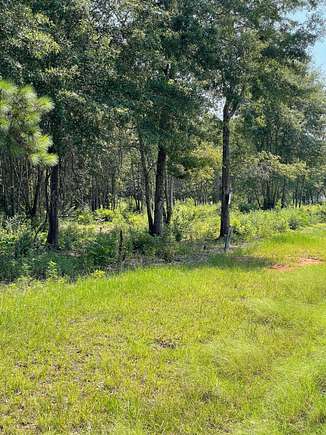 9.84 Acres of Commercial Land for Sale in Thomaston, Georgia