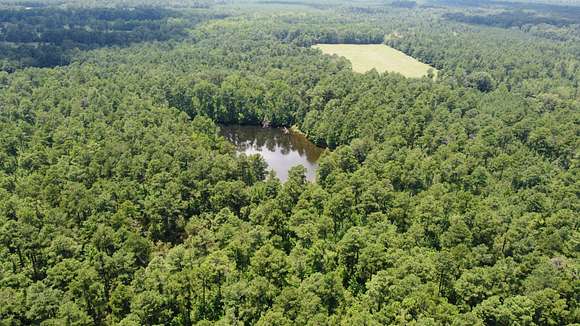 97 Acres of Recreational Land for Sale in Rison, Arkansas