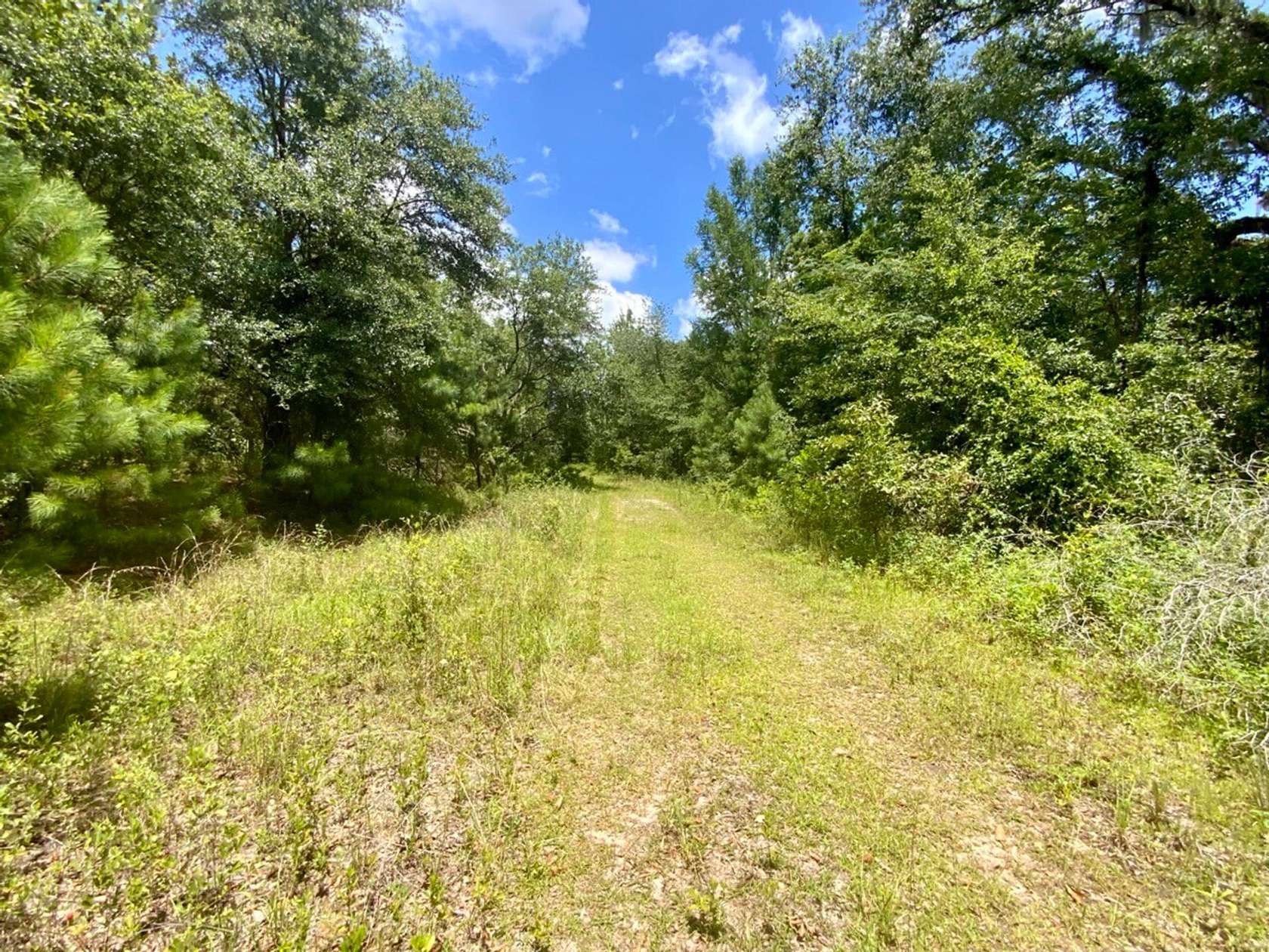 11 Acres of Recreational Land for Sale in Madison, Florida