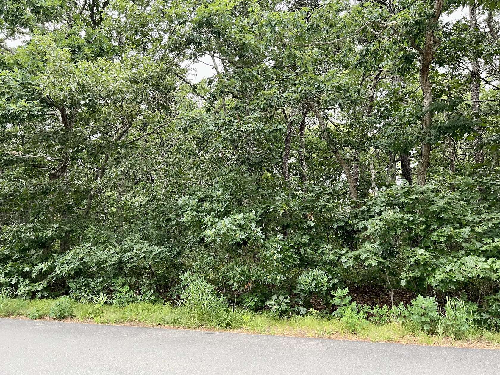 0.46 Acres of Residential Land for Sale in Eastham, Massachusetts