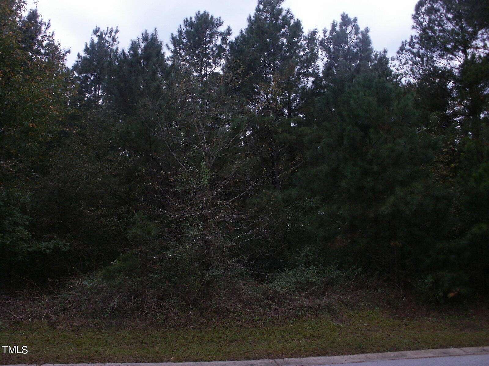 1.31 Acres of Commercial Land for Sale in Lillington, North Carolina