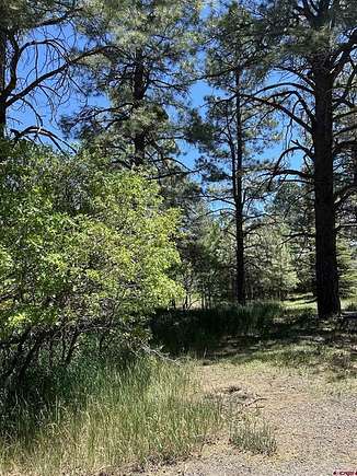 0.28 Acres of Residential Land for Sale in Pagosa Springs, Colorado