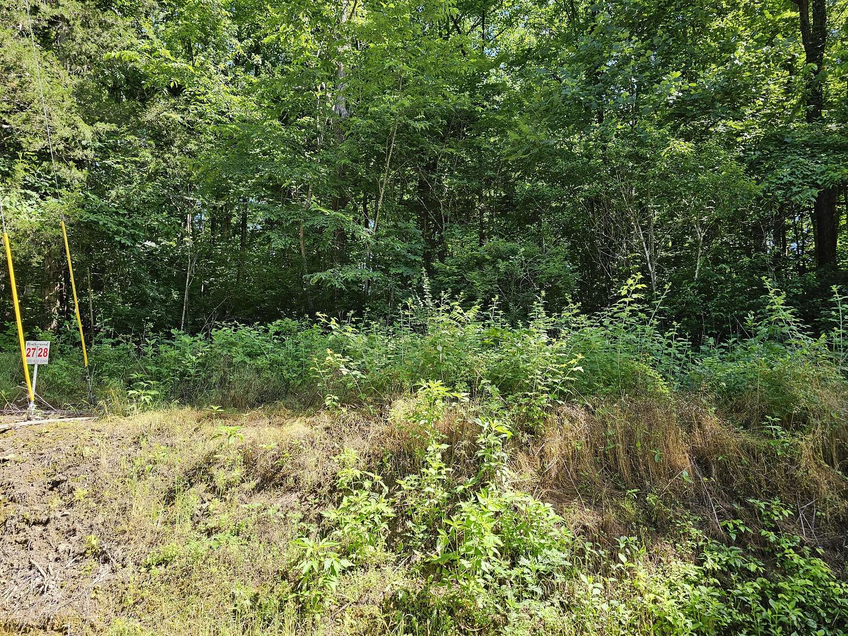 0.61 Acres of Land for Sale in Newport, Tennessee