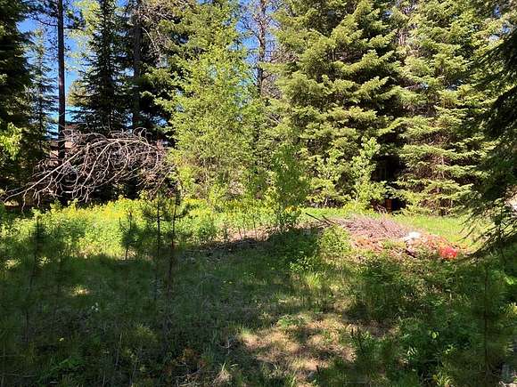 0.27 Acres of Land for Sale in Donnelly, Idaho