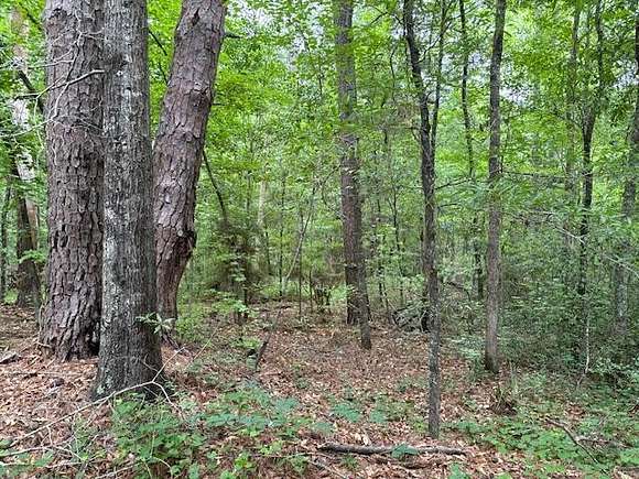 3 Acres of Residential Land for Sale in Warrenton, Georgia