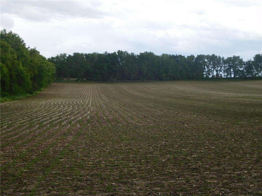 40.759 Acres of Agricultural Land for Sale in Denmark Township, Minnesota