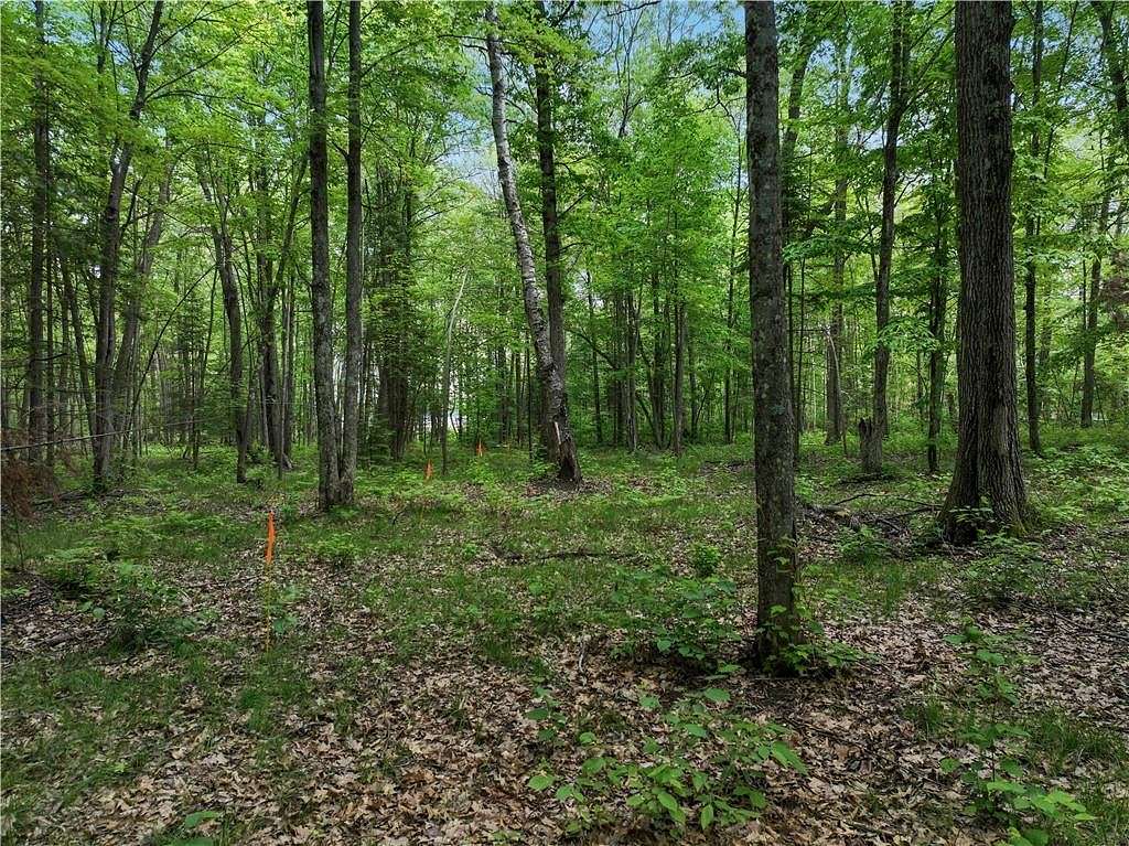 1.49 Acres of Residential Land for Sale in Hayward, Wisconsin