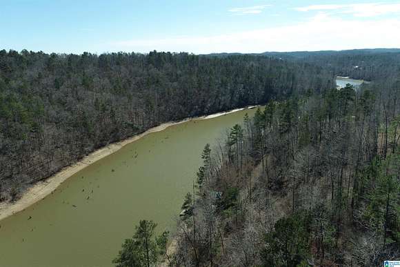 4 Acres of Residential Land for Sale in Lineville, Alabama