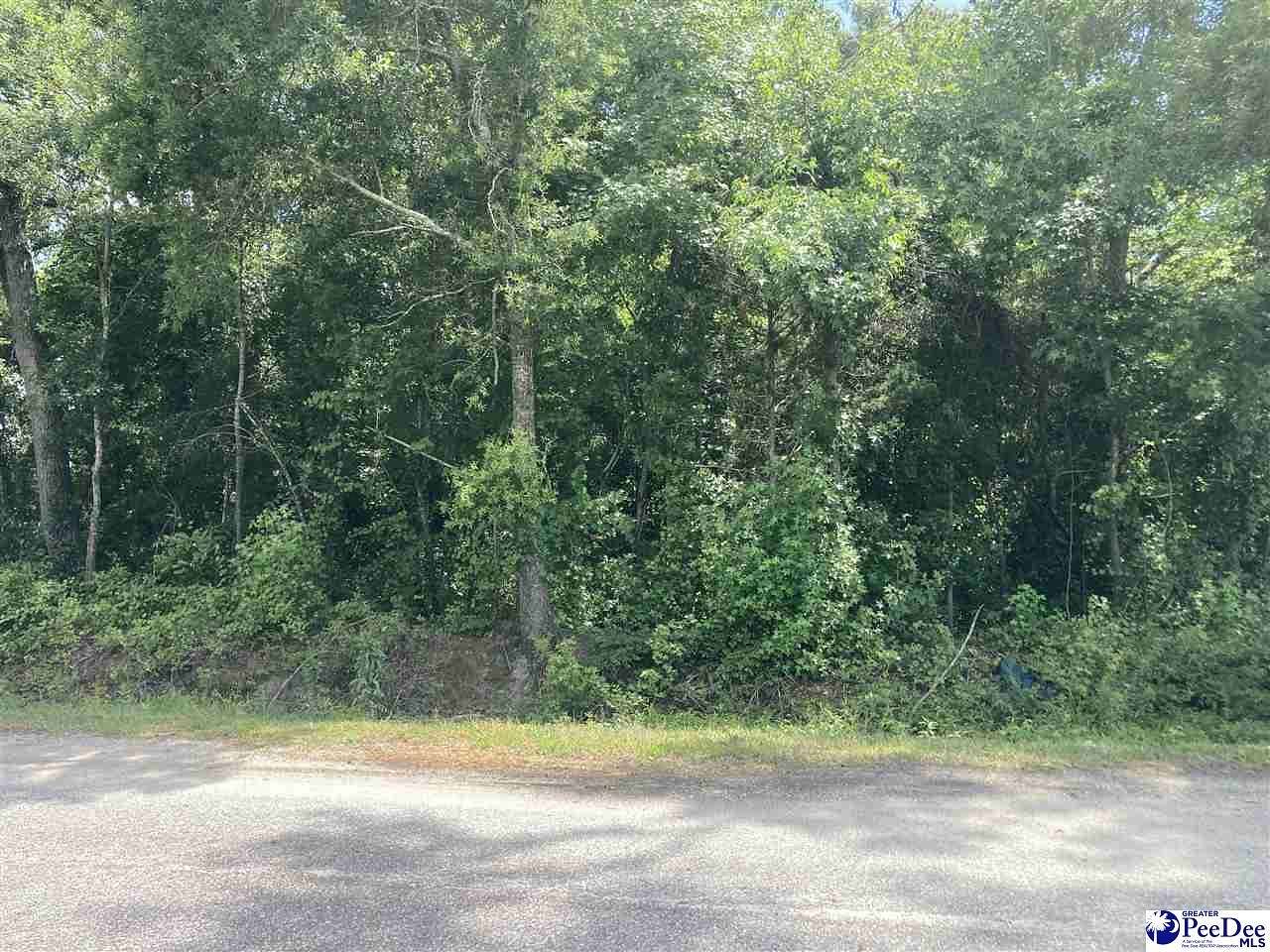0.34 Acres of Residential Land for Sale in Dillon, South Carolina