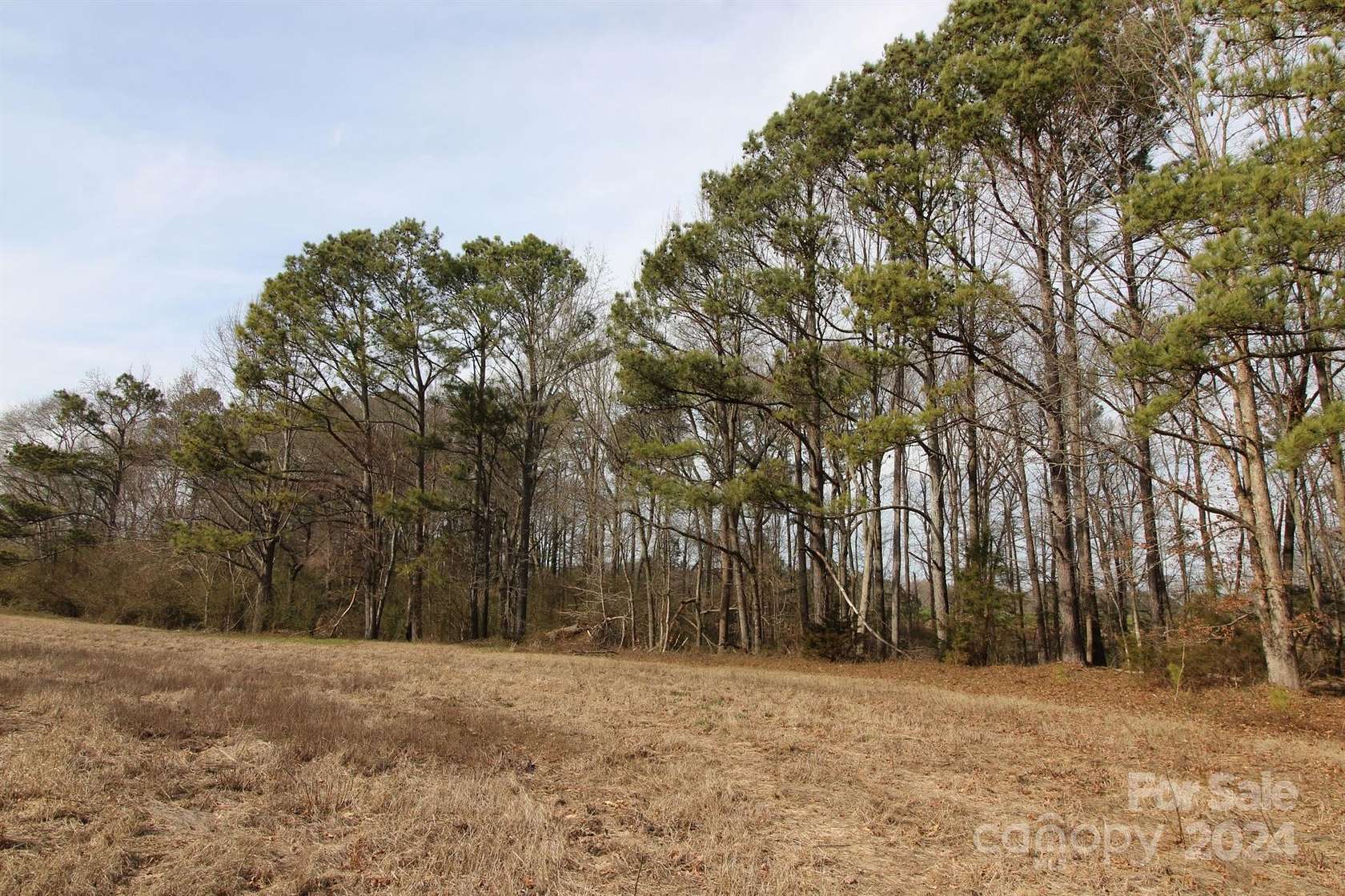 17 Acres of Land for Sale in Chester, South Carolina