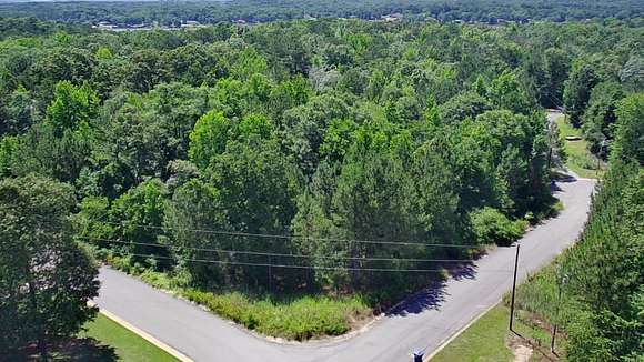 1 Acre of Residential Land for Auction in Pell City, Alabama
