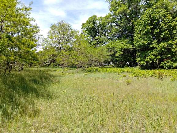 1.3 Acres of Residential Land for Sale in Atlanta, Michigan