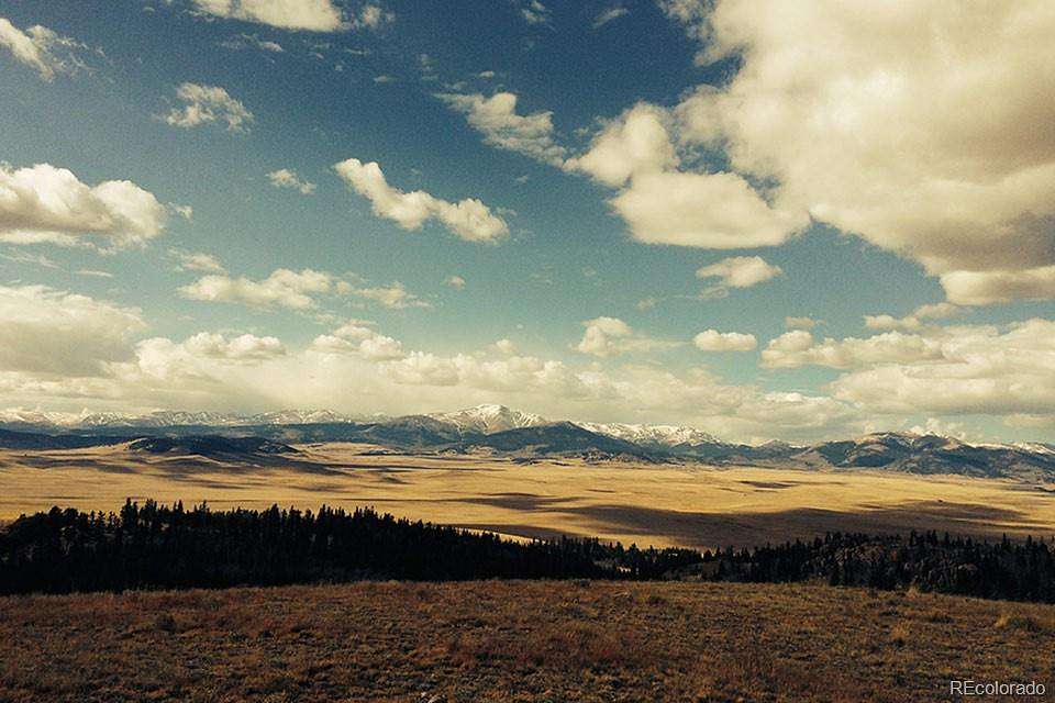 1,400 Acres of Land for Sale in Fairplay, Colorado