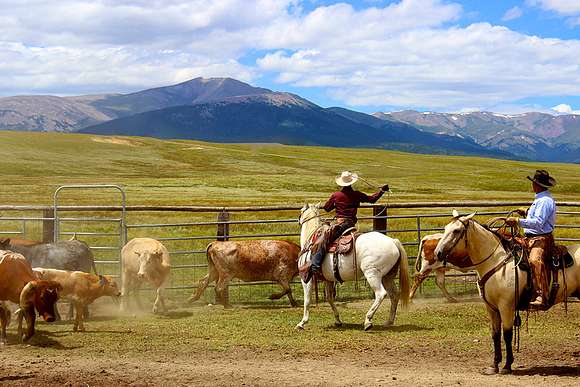 1,400 Acres of Recreational Land & Farm for Sale in Fairplay, Colorado