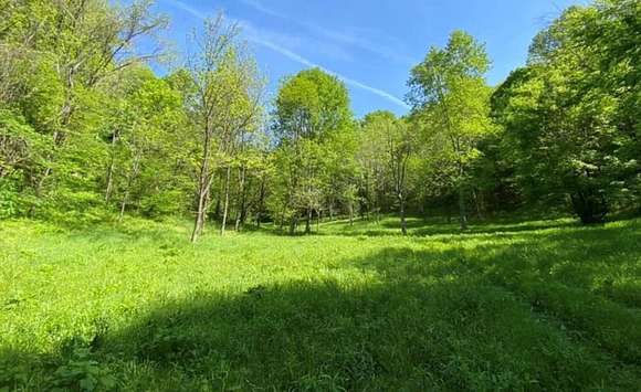 140.47 Acres of Land for Auction in Silver Point, Tennessee